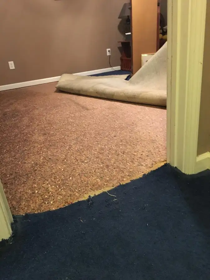 Carpet pad removal revealing water damage during Water Mitigation Services in Castle Shannon